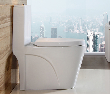 acheter Toilette monobloc en porcelaine de salle de bain Toilette sanitaire allongée fabrication en ligne