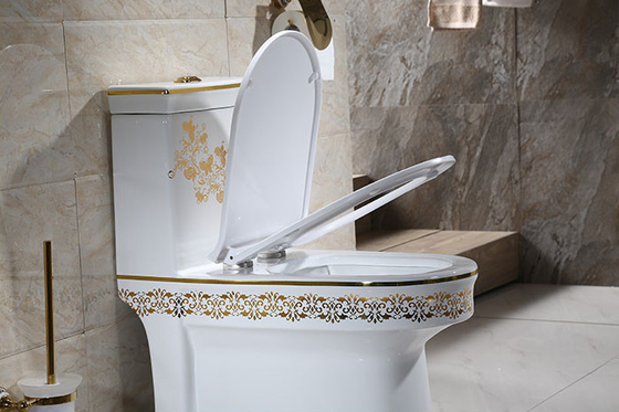 acheter Toilette monobloc à texture dorée Garantie 3 ans fabrication en ligne