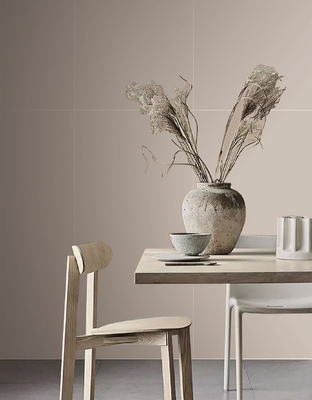 acheter Carreaux de sol extérieurs gris et SGS sans décoloration 600x1200mm Baby Face Carreaux de porcelaine vitrés Pour la cuisine et le salon fabrication en ligne