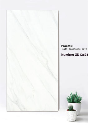 acheter Carreaux de mur-rideau en brique réfractaire 600x1200mm en Jazz White Deep Gray fabrication en ligne