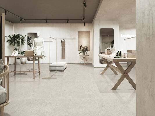 acheter Gris clair à l'intérieur du plancher antibactérien 600x1200mm Matt avec des carreaux de porcelaine de surface de moule pour la salle de bains et la rénovation fabrication en ligne