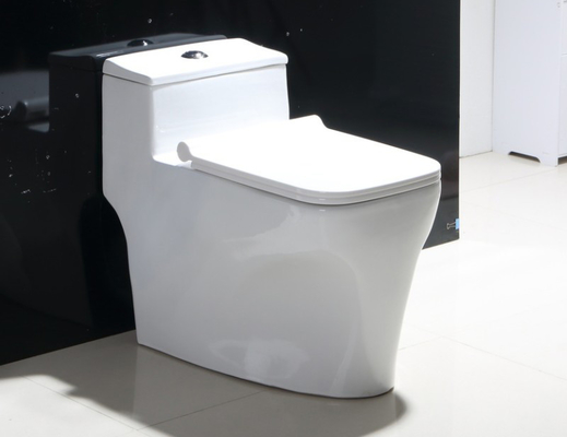 Salle de bain dos au mur WC à double chasse d'eau monté au sol