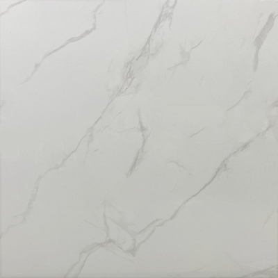 Résistance aux acides Carreaux vitrés polissés brillants Panneaux intérieurs muraux et planchers 60x60 cm Salon W.A 0.05%
