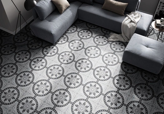Carreaux de sol antibactériens de 250x250 mm pour la salle de bain et carreaux rustiques en céramique grise pour le salon
