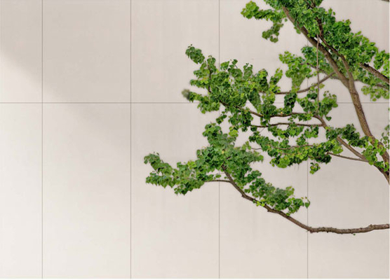 Carreaux de porcelaine antique blanc mat nuageux 600x1200 mm