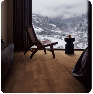 Carreaux AAA de qualité ISO9001 et 120x60 cm de mur extérieur en porcelaine en bois pour le salon
