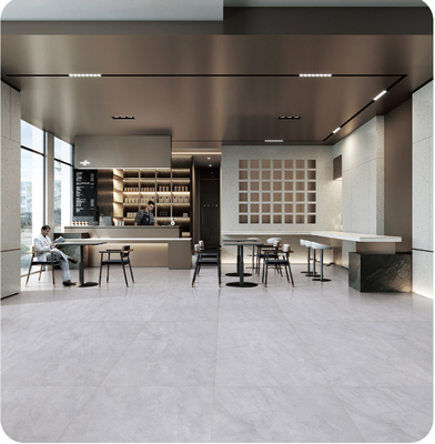 Carreaux antibactériens gris clair et 48 