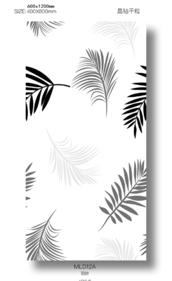Carreau de mur en porcelaine émaillée 60x120cm pour usage intérieur