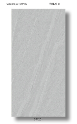 Plancher extérieur Durable 60x120cm Porcelaine décoratif pour terrasse