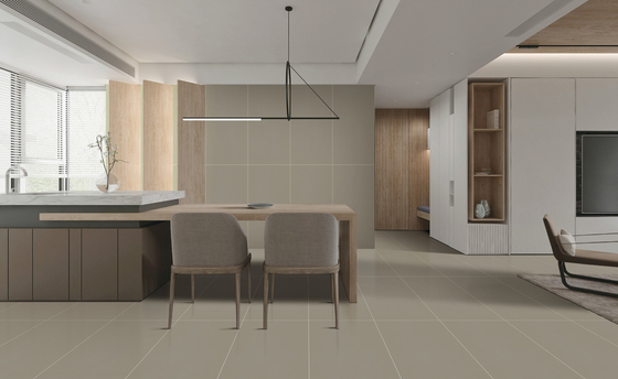 Carreaux de sol en porcelaine texturée pour chambre à coucher 60x120cm Glaçage étoilé SGS