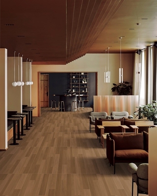 Résistant à l'eau 600x1200mm Carreaux de porcelaine en bois et carreaux texturés pour plancher extérieur pour hôtel