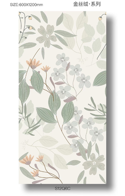 Plancher extérieur rectangulaire élégant doux vitré 1200x600mm carreaux de porcelaine pour la cuisine et le salon