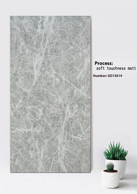 Marbre gris clair Resistant aux rayures 600x1200mm Douceur Tactilité Mat Carreaux de mur de rideau extérieur Pour le jardin