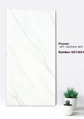 Carreaux de mur-rideau en brique réfractaire 600x1200mm en Jazz White Deep Gray
