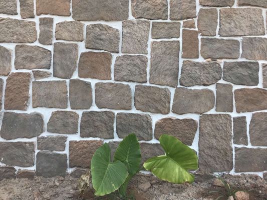 le GV de 14mm a cultivé la brique de pierre décorative pour l'aménagement de mur de jardin