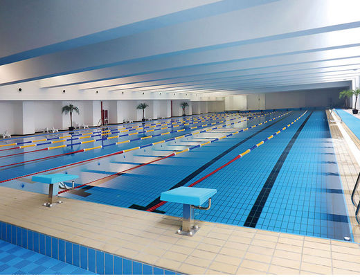 S003 le Decking en céramique de la ruelle 24kg/Carton couvre de tuiles la piscine, tuile de bord vitrée par 115x240mm