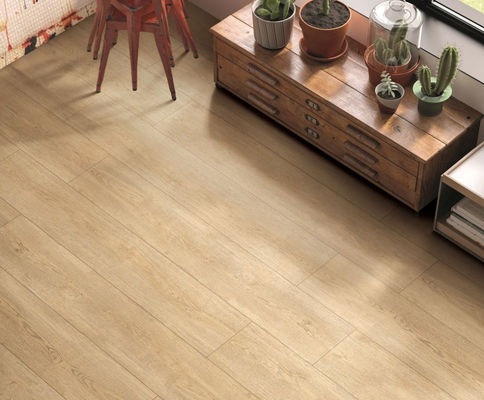 carrelages en bois de 36Kgs/Box 250x1500mm, porcelaine vitrée par tuile épaisse de mur intérieur de 9.5mm